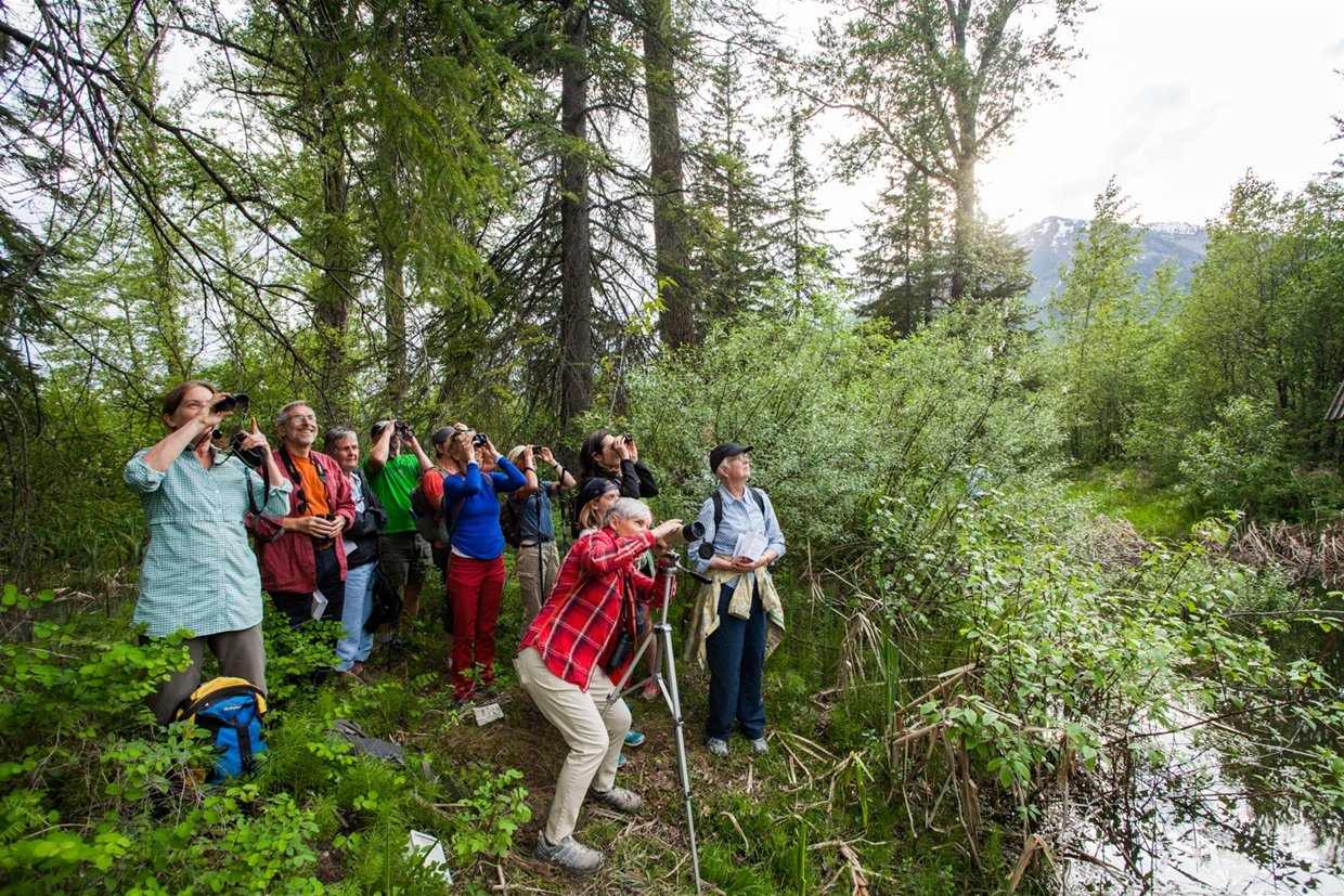 Nature Tour
